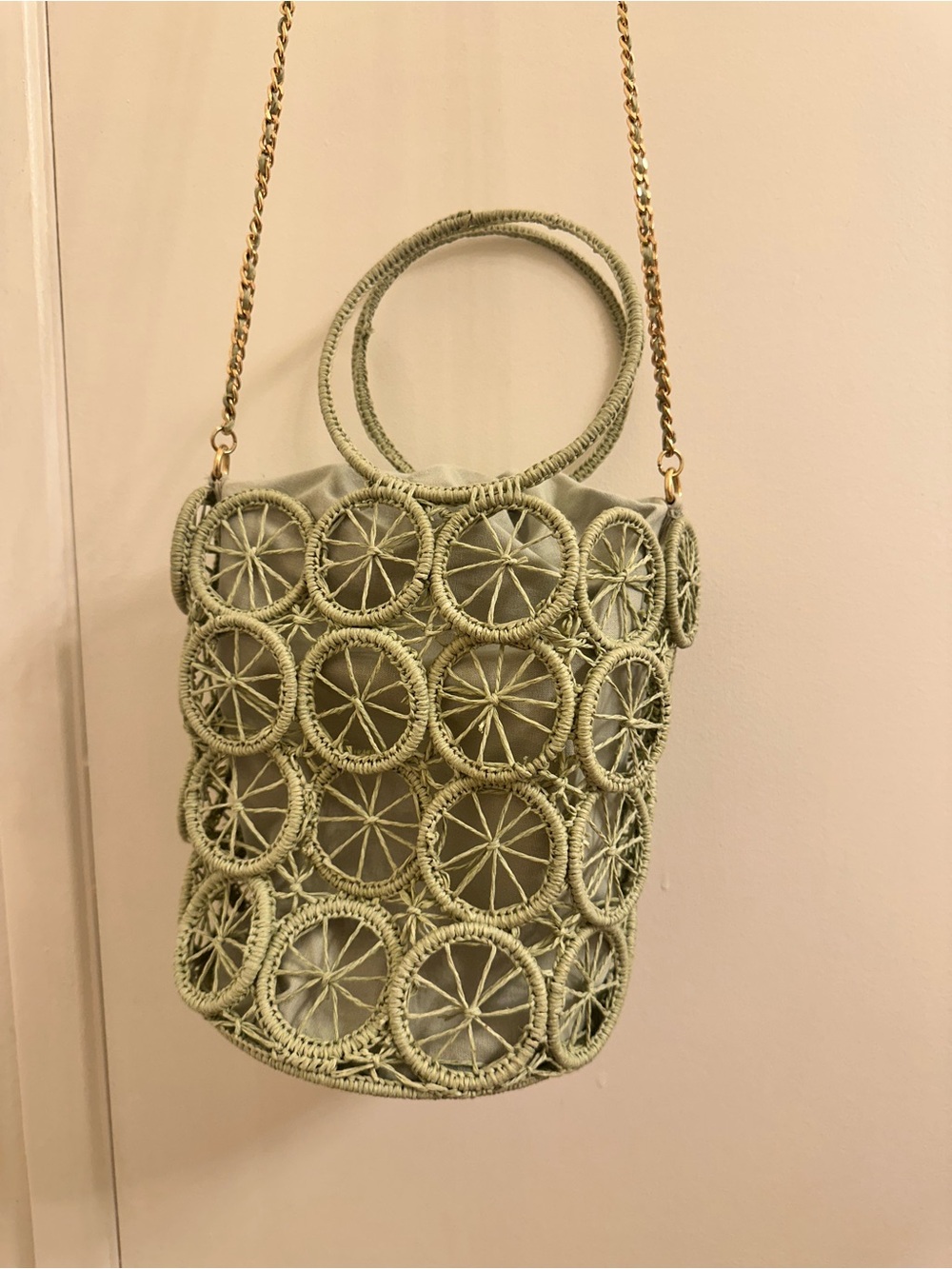 House of Harlow 1960 Sage Green Woven Circle-Detail Bucket Bag